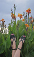 shoes1_med